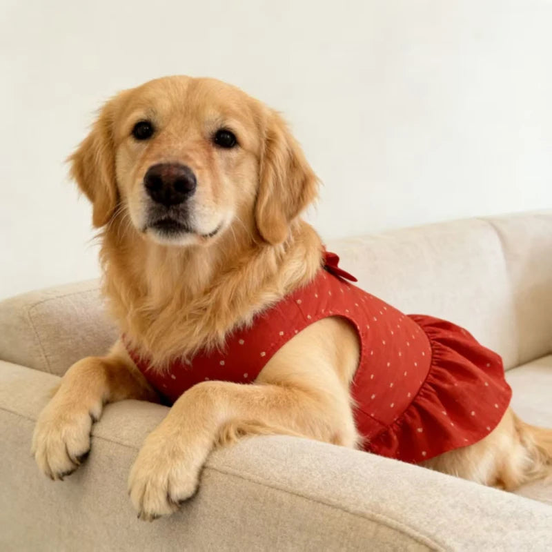 Golden Retriever Clothing Dress Summer Dog Clothes Corgi Border Collie Samoyed Husky Labrador Dobermann Big Large Pet Apparel