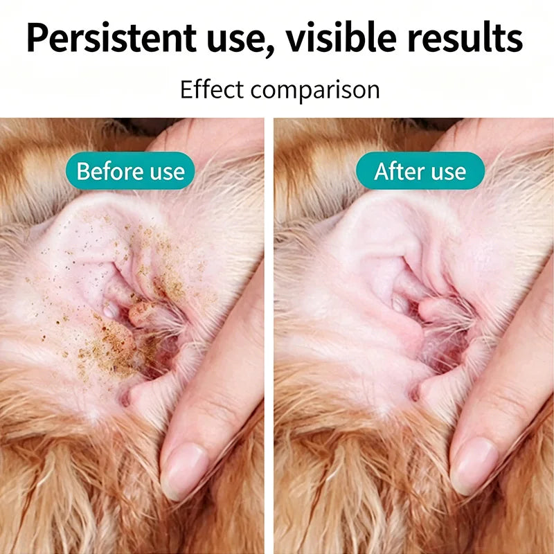 Pet Teeth Cleaning Finger Wipes, Natural Plant Extract, Dog Cat Oral Care, Remove Tartar Freshen Breath, Pet Grooming Supplies