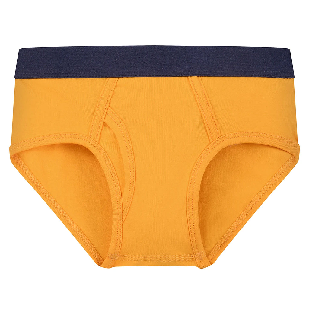 Kids Boy Underwear, Cotton Breathable Briefs, Multi-Color Toddler Underpants for Boys