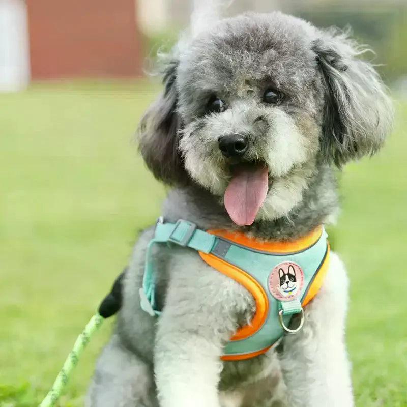 Harness Leash Set Dogs Adjustable For Small Medium Vest Reflective Puppy Chest Strap Pet Walking Outdoor Supplies