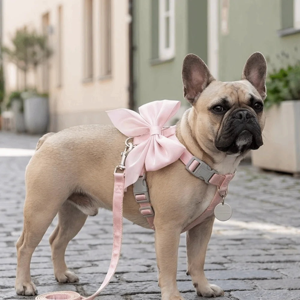Pet Accessories Adjustable Pet Harness Escape-Proof Breathable Cat Leash Cute Bow Comfort Dog Chest Strap for Dogs Puppy Rabbit