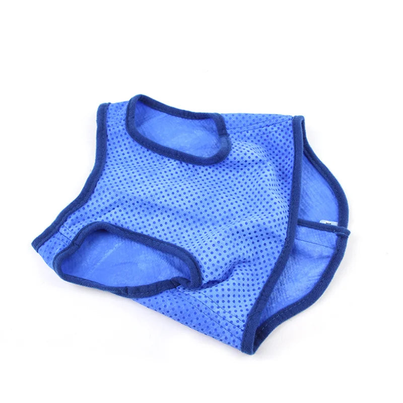 Pet Dog Cooling Vest Breathable Mesh Summer Cool Sleeveless Shirt Quick Dry Jacket For Small Cat Medium Large Dogs Cool Clothing