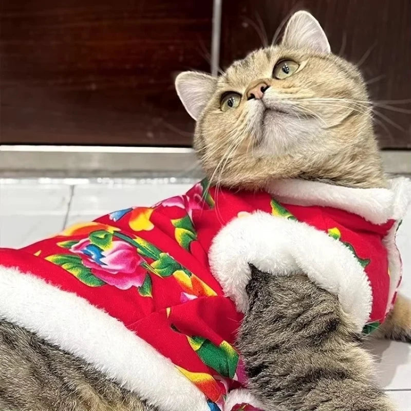 Cat Clothes Fleece Lined Warm Thick Cotton Padded Coat Autumn And Winter Style Ragdoll Blue Cat Kitten Pet Clothing