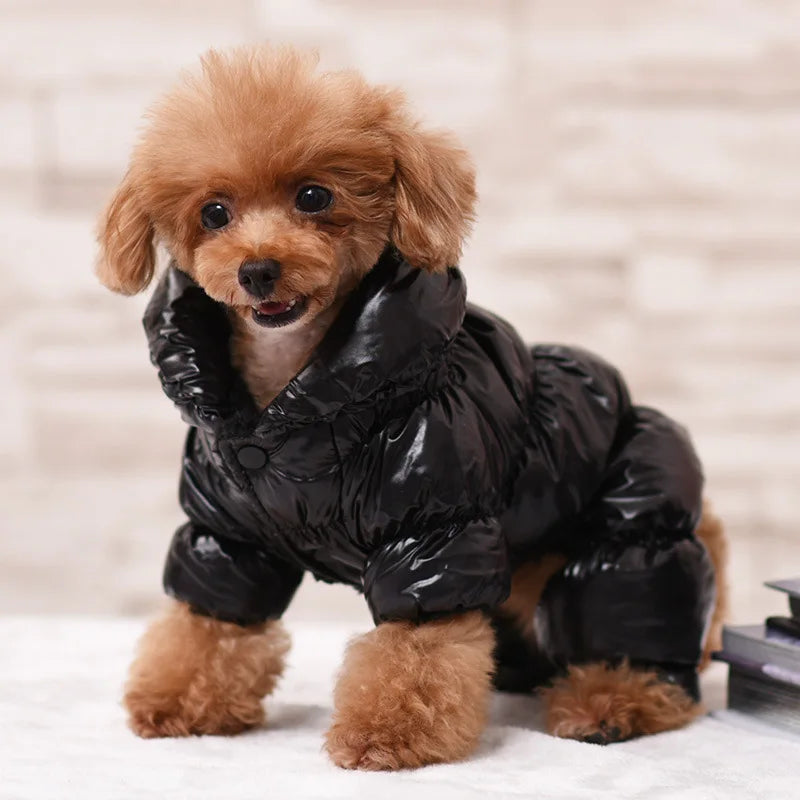 Pet Clothing Puppy Windproof Clothing Winter Dog Clothin Autumn and Winter Comfortable and Warm Home Outdoor Pet Clothing