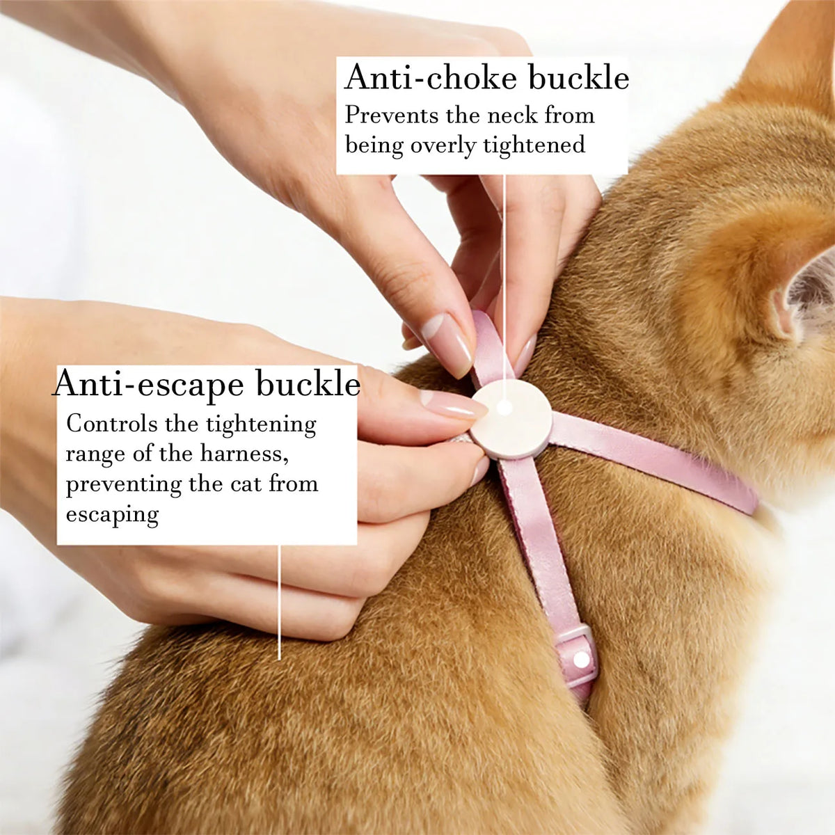 Cat Harness and Leash Sets Adjustable Dog Harness for Small Dog Leash Breashable Pet Harness Out Walking Dog Strap Cat Accessory