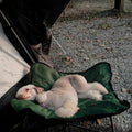 Foldable Outdoor Pet Bed Waterproof Detachable Kennel with Bite Resistant Comfort Pad for Dogs Cats Camping Travel Pet Supplies