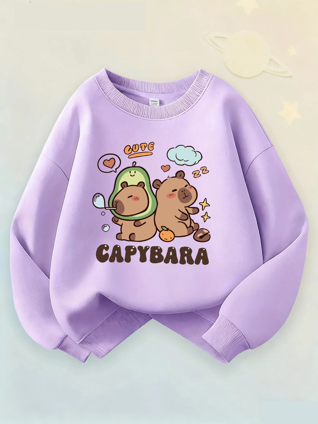 90s Y2k Unisex Crew Neck Kid Hoodie Capybara Hoodies Manga Kids Children's Sweatshirt Cute Capibara Hoody for Boys Girls