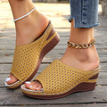 Sandals For Women 2025 Summer Dressy Women Shoes Thick Soled Wedge Sandals Fashionable One Foot Bohemian Beach Sandales Femmes