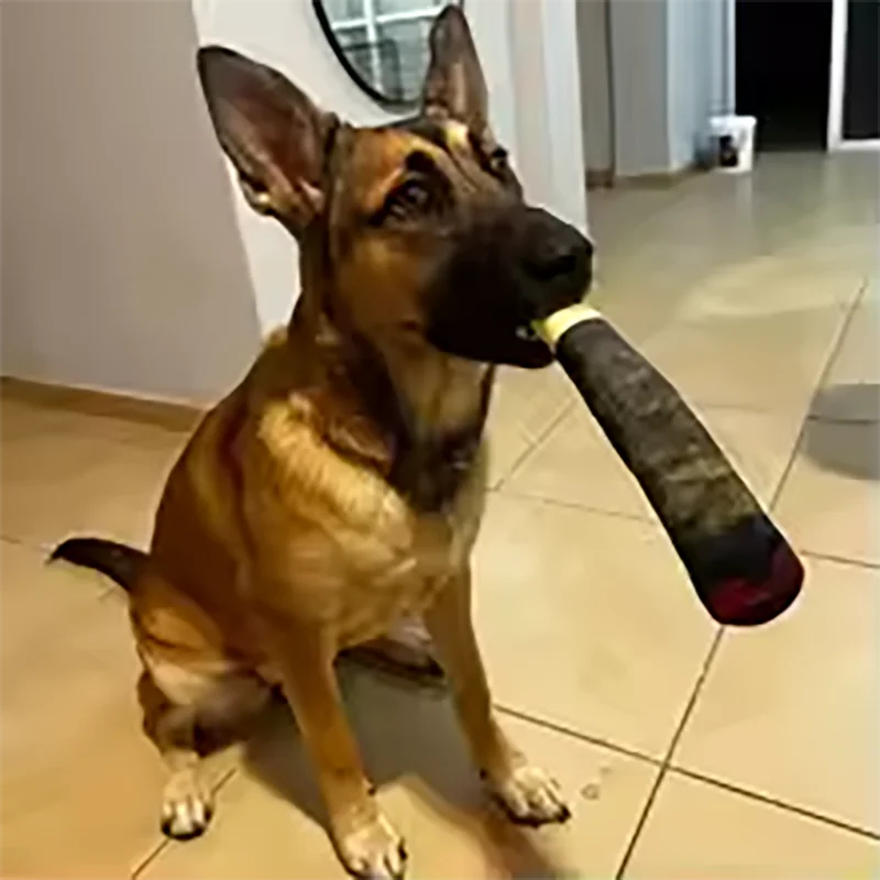 Funny Interactive Dog Toys Cigar Design Plush Squeaky Pet Toys Grinding Teeth Creative Chew Cool Stuffed Gifts for Dog Birthday