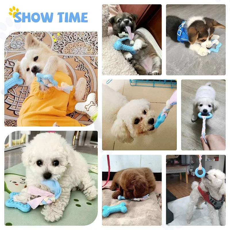 Pet Chew Toys Soft Blue Rubber Durable Molars Training Toy Chihuahua Yorkie Funny Ball Interactive Bone Treat Toys Pet Supplies