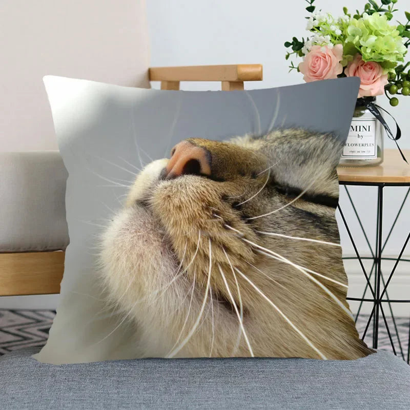 Cute Animal Bed Pillowcase for Car Sofa Home  Pet Cat Printed   Cushion Cover