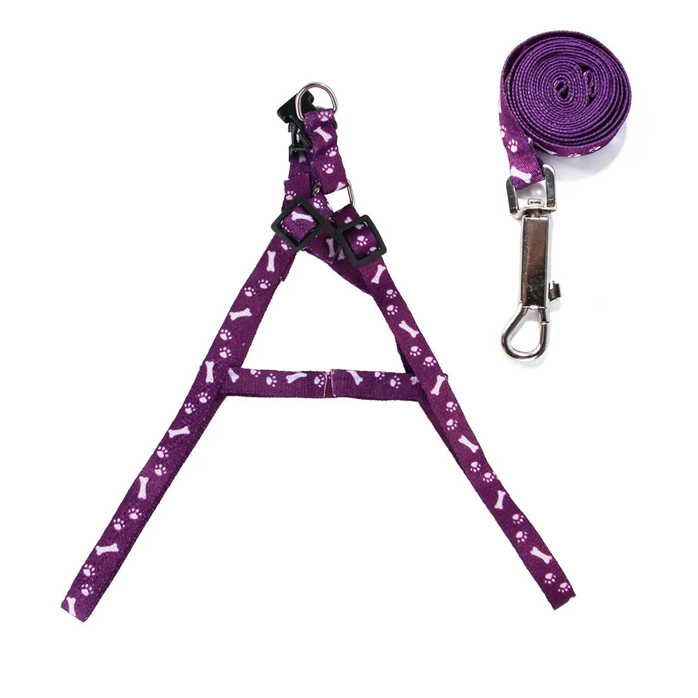 Small Dog Leash Puppy Leashes Teddy Pet Leash and Harness Set Cute Lead Rope Set Cat Kitten Leash Pet Things Decoration