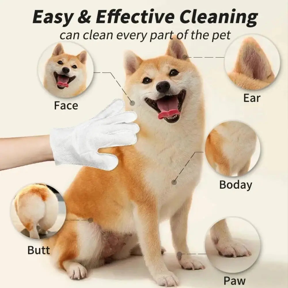 Pet Cleaning Gloves 6PCS Wash Free Grooming Wipes for Dogs Cats Disposable Dry Bath Gloves Gentle Care Supplies