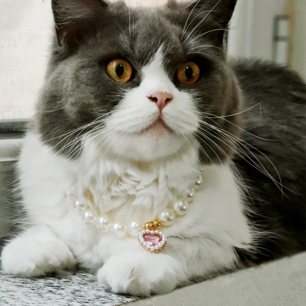 Adjustable Pet Pearl Necklace Accessories for Cats Gotas Animals Fashion Rhinestones Sphynx Cat Collar Kitten Dog collier Chat