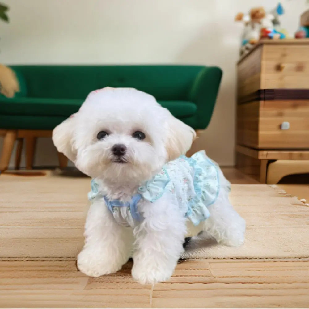 Pet Clothes Thin Dog Cool Dress Cute Soft Dog Cooler Clothes Breathable Skin-friendly Puppy Skirt Spring/Summer