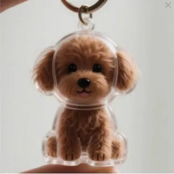 Transparent Pet Hair Storage Memorial Keychains Cat and Dog Hair Organization Capsules Decorative Pendants Cat Accessories