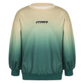 Kids Boys Girls Gradient Sweatshirt Letter Print Round Neck Long Sleeve Pullover Elastic Cuffs Top for Everyday Wear Playwear