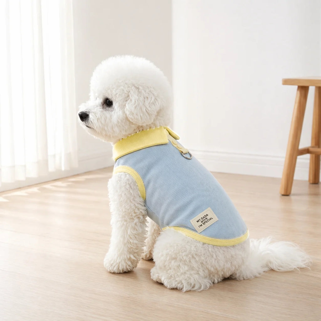 Comfortable Dog Vest Cute Cartoon Pet Clothes Breathable Maltese Dress Summer Teddy Couple Clothing  Princess Style Puppy Skirt