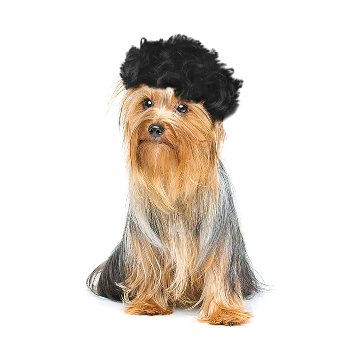 Pet Wigs Cosplay Props Funny Dogs Cats Dress Up Hair Hat Costumes Headdress Accessories For Halloowen Christmas Supplies