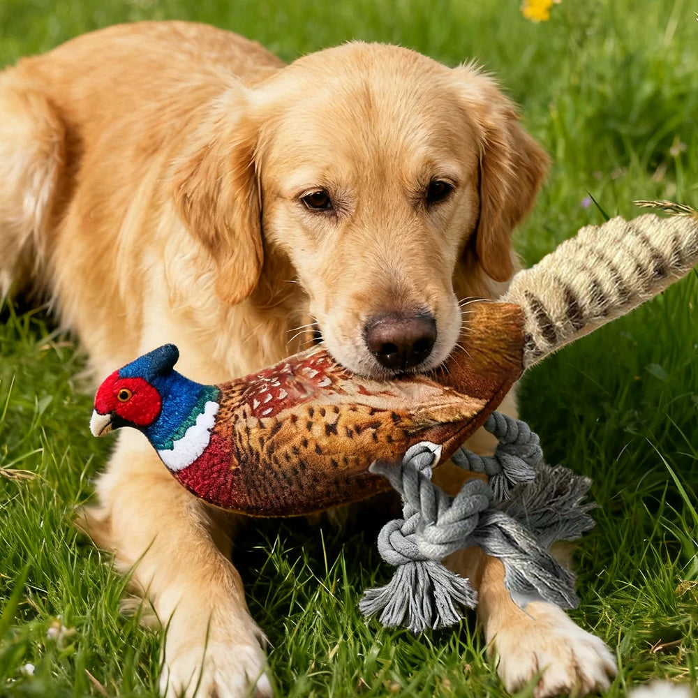 Plush Toy for Cats and Dogs: Lifelike Pheasant, Tear-Resistant Knotted Toy, Washable, Interactive Companion Toy for Pets