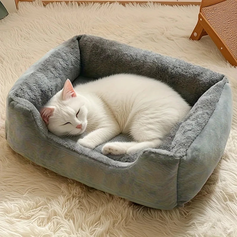 Bed for Cats Pet Products Cushions Kitten Goods Accessories Dog All Houses Supplies Things Accessory Habitats Basket House Beds
