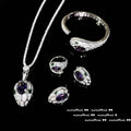 Women's New Fashion 925 Sterling Silver Jewelry Sets for Women Silver Color Luxury Zircon Snakce Necklace/Ring/Earring/Bangle
