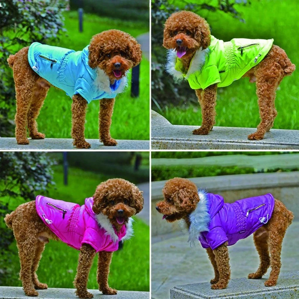 Winter Dog Clothes Warm Hooded Puppy Dog Cat Coat Jackets for Small Dogs Pet Down Parkas Chihuahua Pug French Bulldog Clothing