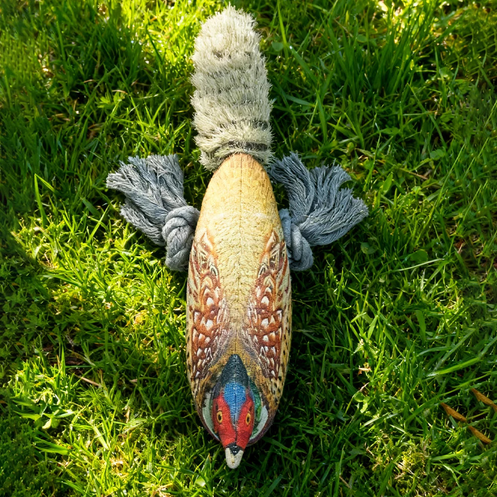 Plush Toy for Cats and Dogs: Lifelike Pheasant, Tear-Resistant Knotted Toy, Washable, Interactive Companion Toy for Pets
