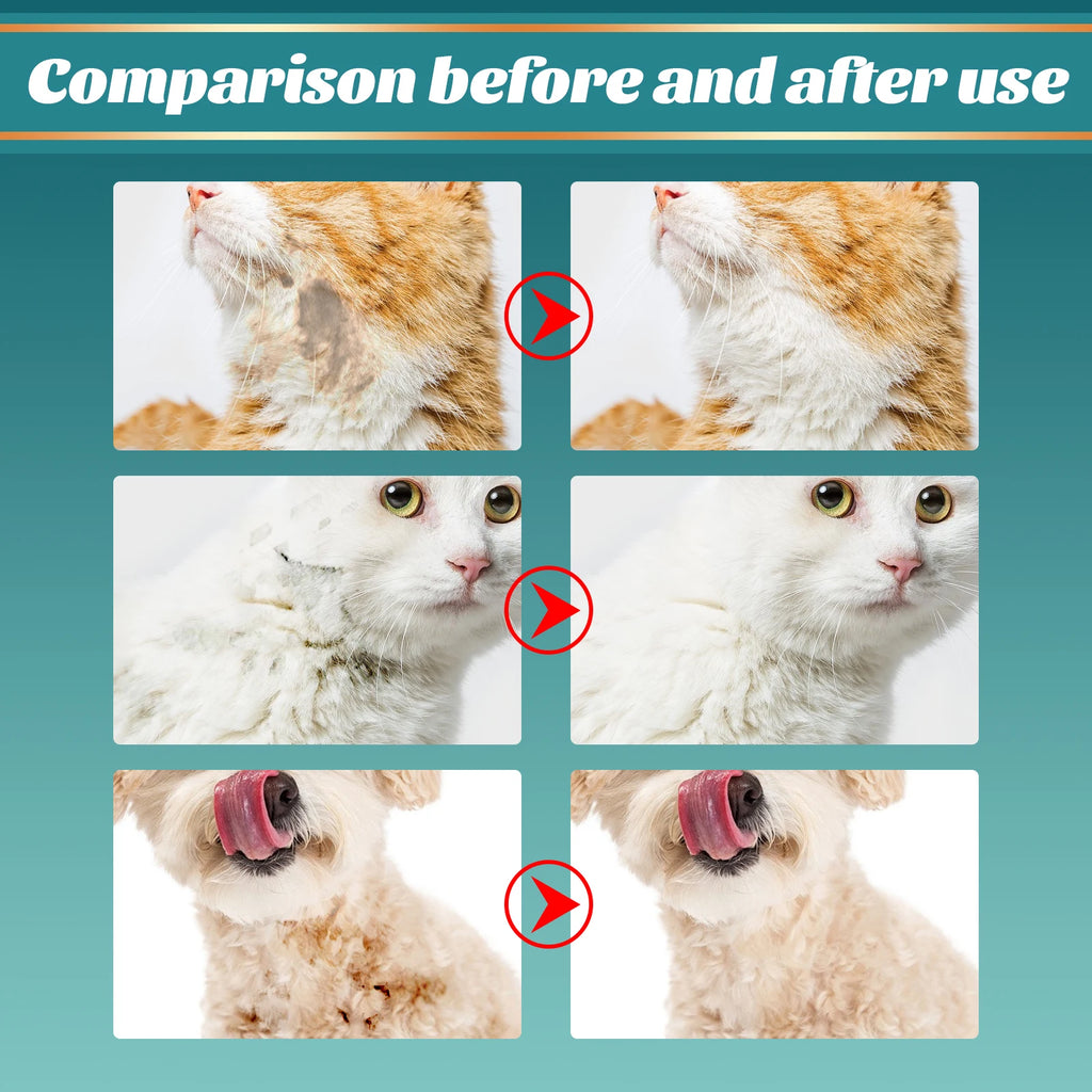Pet Wash Free Gloves Dry Cleaning Gloves Remove Odors Clean Dirt Portable Pet Daily Cleaning Skin Care Dogs Cats Spa Bath Glove
