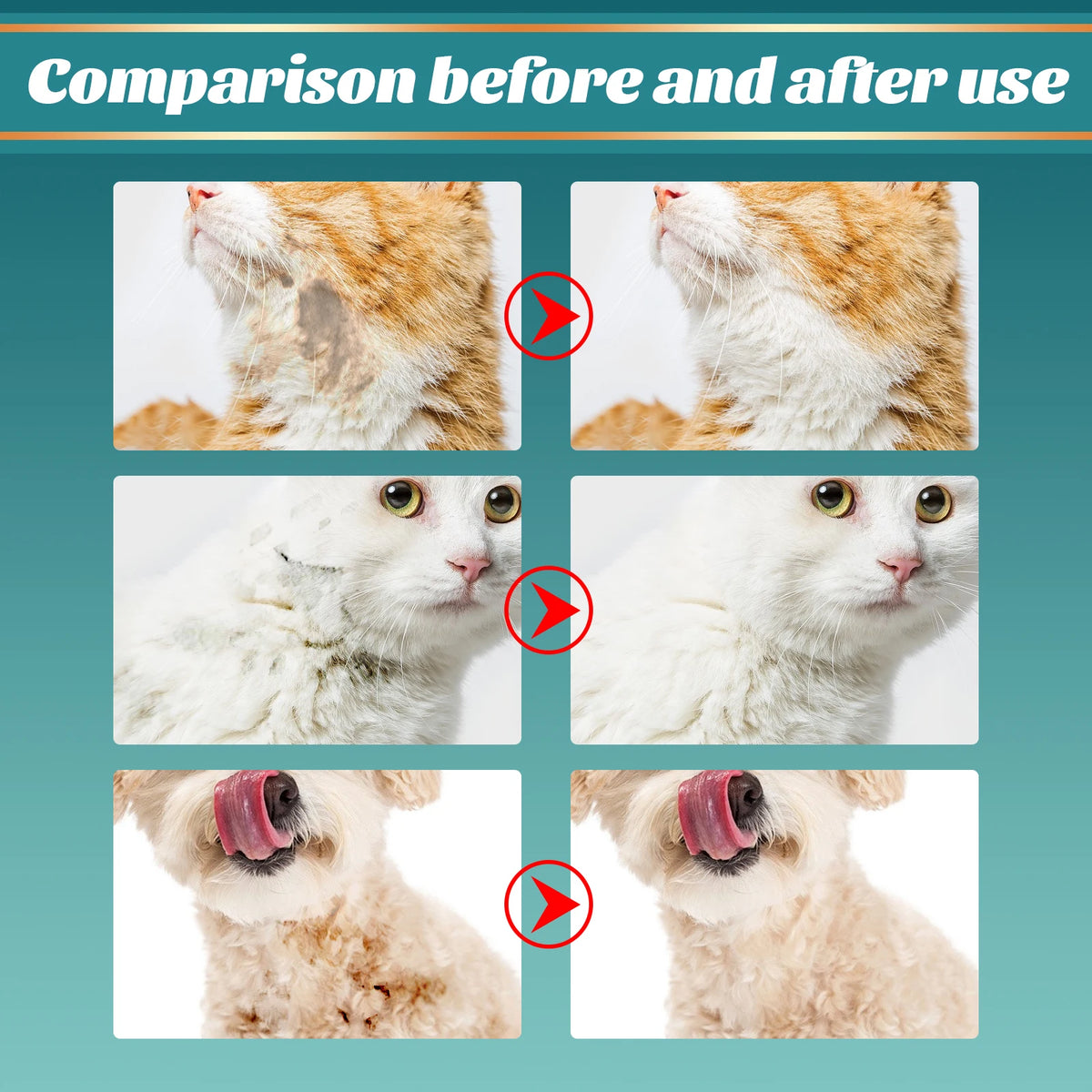 Pet Wash Free Gloves Dry Cleaning Gloves Remove Odors Clean Dirt Portable Pet Daily Cleaning Skin Care Dogs Cats Spa Bath Glove