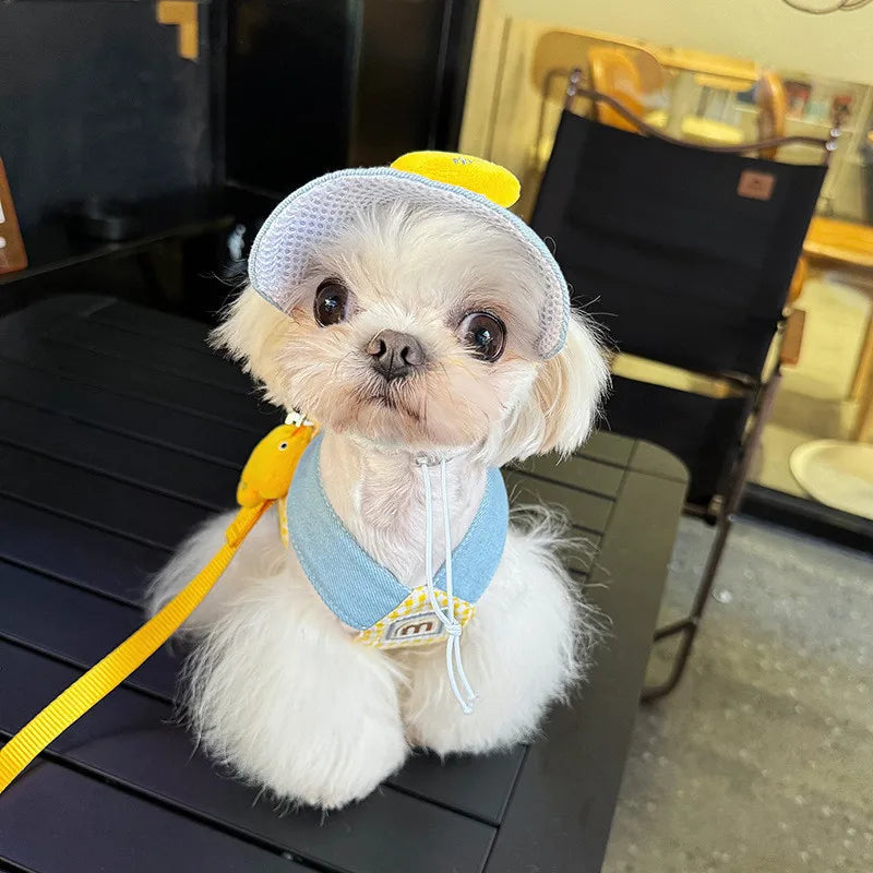 Pet Puppy Harness Leash Set for Small Mid Dogs Cat Walking Lead Chihuahua Bunny Vest Harness Poodle Collar Leash Dog Accessories