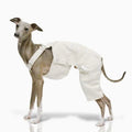 Pet Clothing Adjustable Blue Thin Denim Carrier Pants for Mid Dogs 4-legged Spring White Coat for Italy Greyhound Wellingtonian