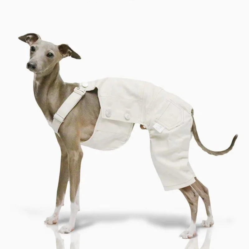 Pet Clothing Adjustable Blue Thin Denim Carrier Pants for Mid Dogs 4-legged Spring White Coat for Italy Greyhound Wellingtonian