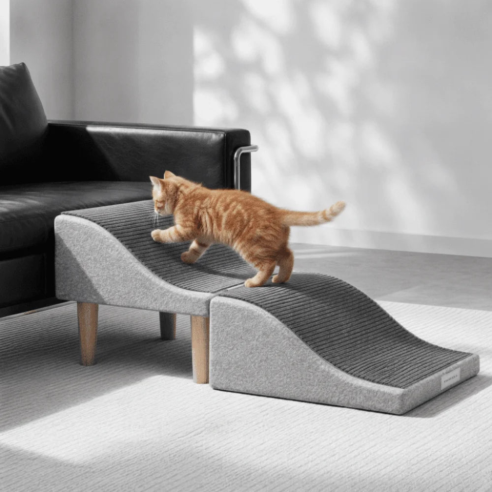Pet Accessories Non-Slip Foldable Dog Ramp Adjustable Foldable Non-Slip Pet Ramp Space Saving Safe Sturdy Puppy Stairs Pet Use