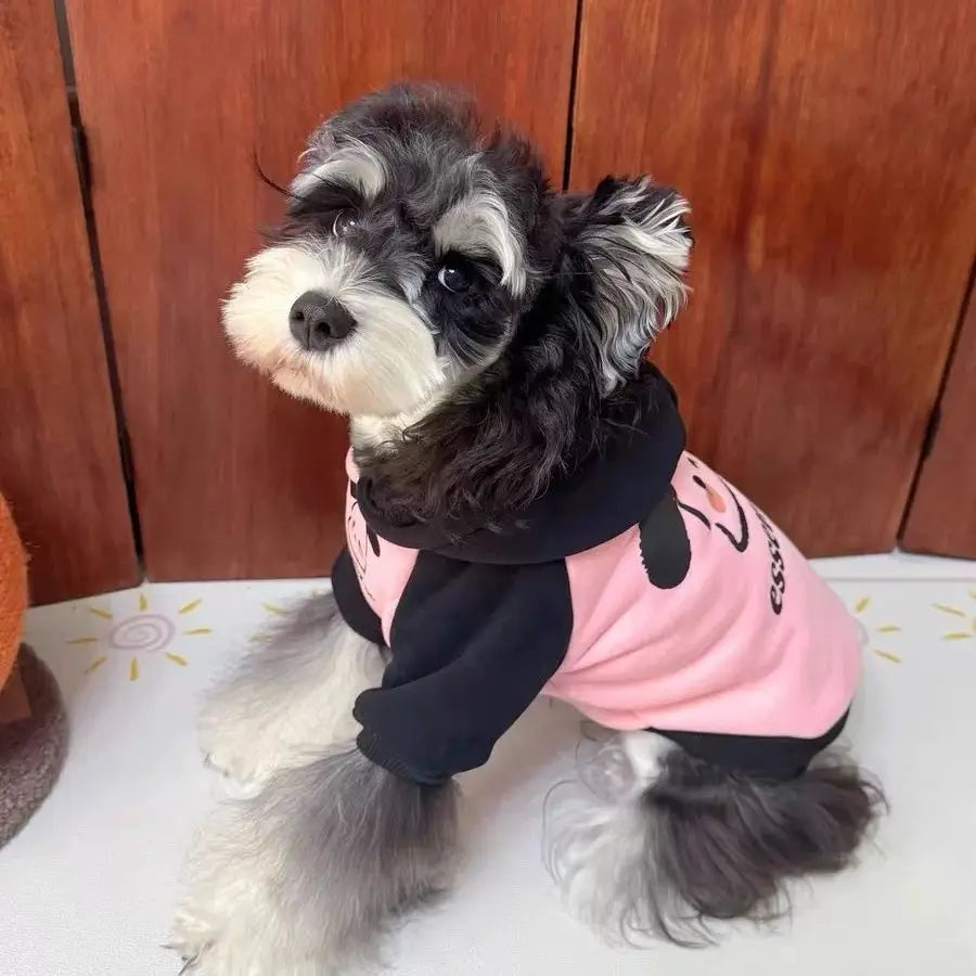 Pet cat and dog clothes trendy brand cool handsome autumn and winter velvet warm powder fight black puppy pair hooded