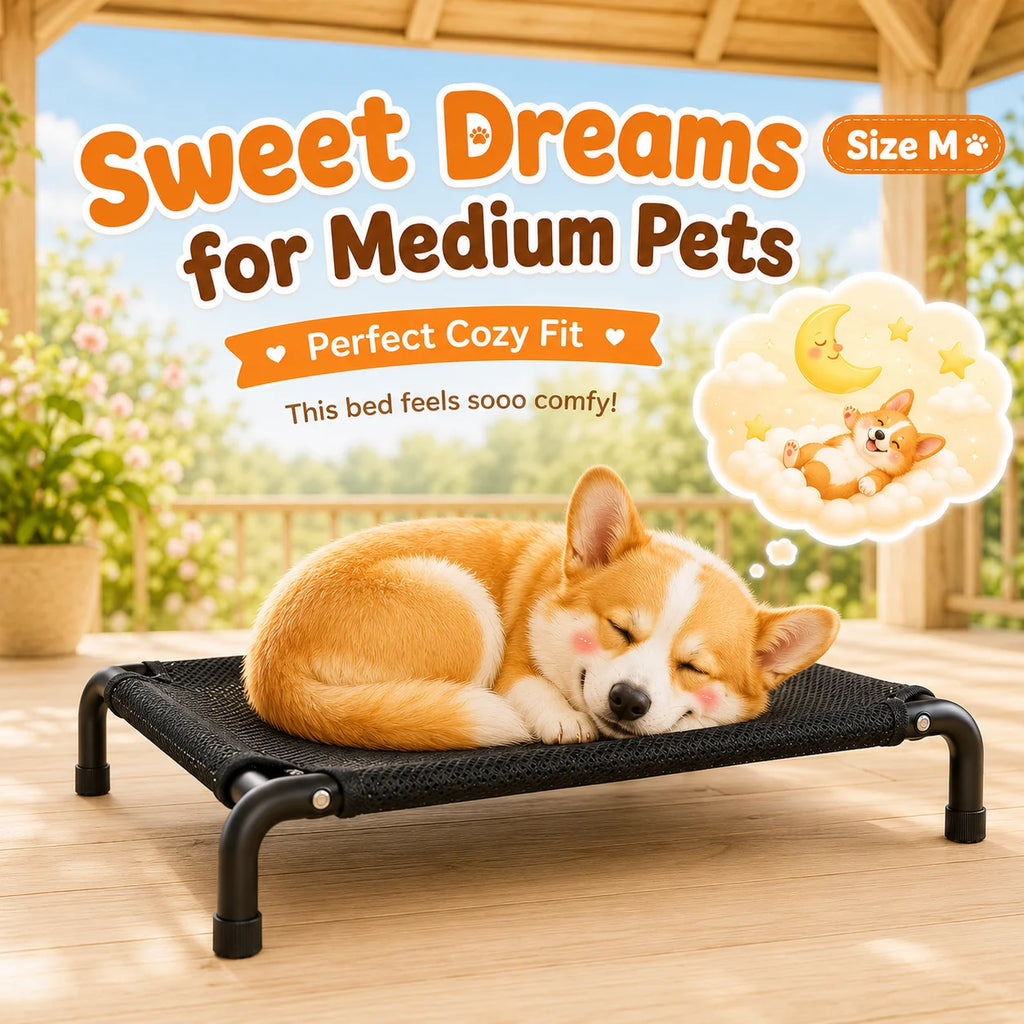Elevated Pet Bed for Dogs, Washable Dog Bed for Small, Medium, Large & XL Puppies, Breathable Mesh Dog Bed
