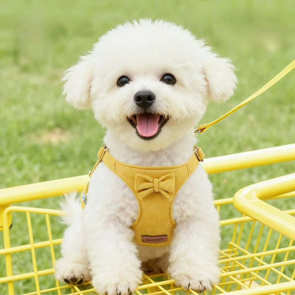 Pet Collars Trendy Premium Suede Dog Harness Leash Set-Adjustable Pet Chest Strap Soft Durable Puppy Kitten Fashion Accessories