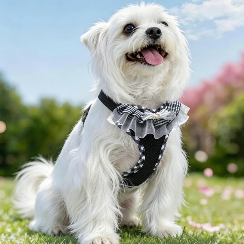 Pet Vest Harness Cute Lace Adjustable Pet Harness Soft Comfort Dog Vest Leash for Small Breed Puppies Daily Walking Stroll