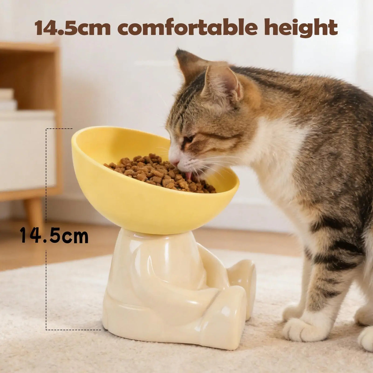 Cat Feeding Bowls Dog Food Bowl Raised Food Feeding Dish for Pet Non-Slip Pet Feeder for Kitchen Vacation Apartment Indoor
