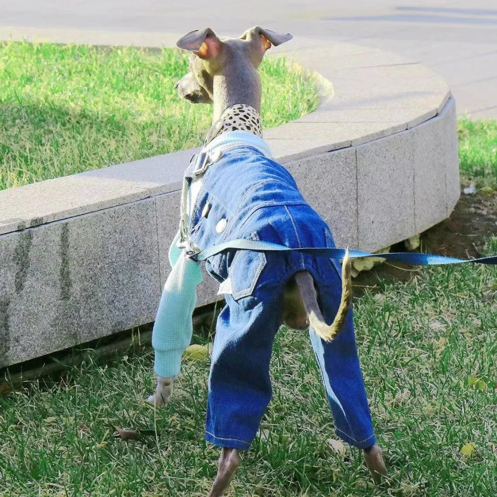 Pet Clothing Adjustable Blue Thin Denim Carrier Pants for Mid Dogs 4-legged Spring White Coat for Italy Greyhound Wellingtonian