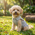 Fashion Embroidered Dog Polo Shirt Breathable Sleeveless Pet Clothing For Small Breeds Outdoor Walking Pet Outfit