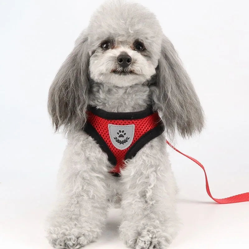 Cat Harness Vest Walking Lead Leash for Puppy Dogs Collar Polyester Adjustable Mesh Dog Harness for Small Medium Pet Accessories