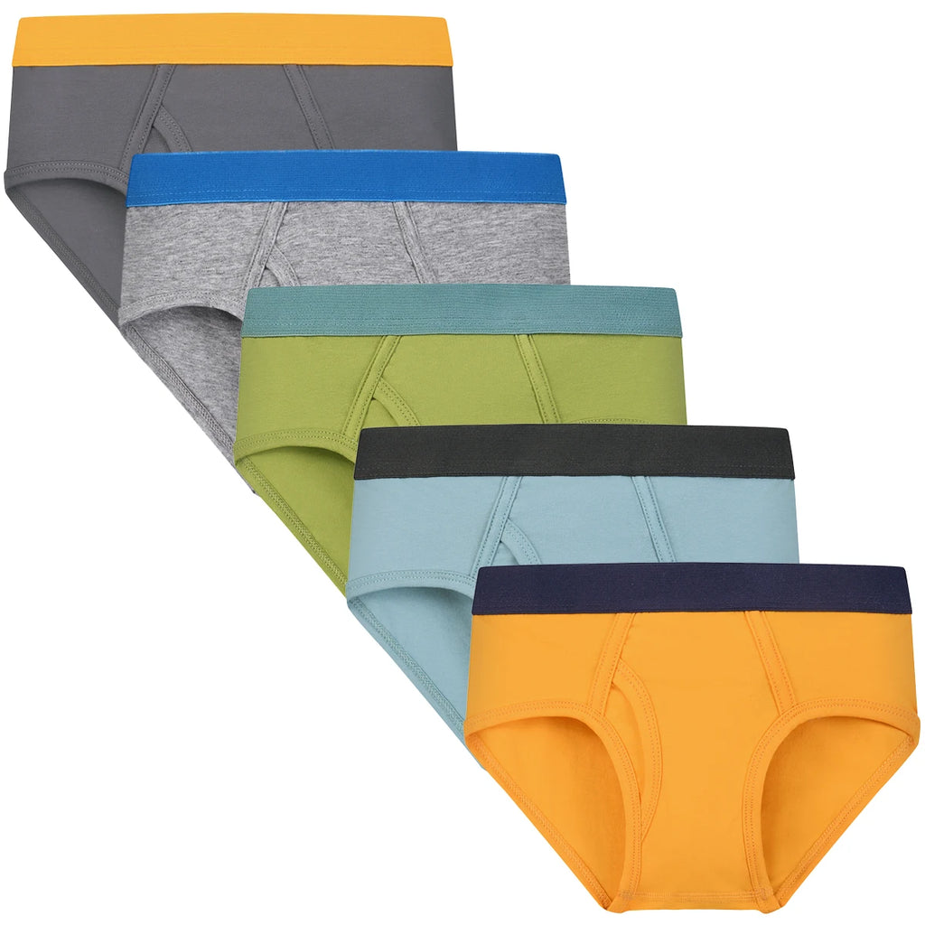 Kids Boy Underwear, Cotton Breathable Briefs, Multi-Color Toddler Underpants for Boys