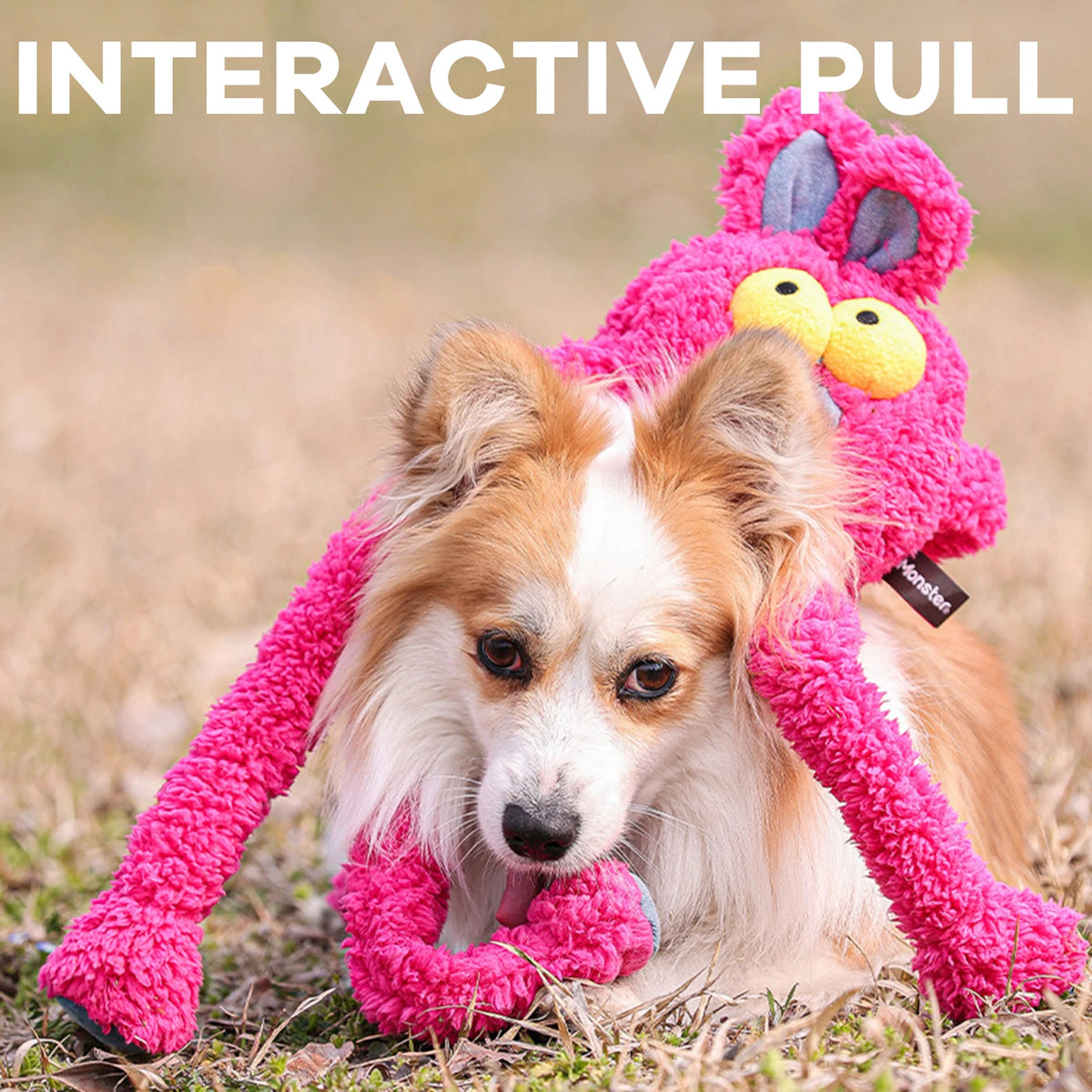 Pet Dog Chew Toys Squeaky Plush Sounding Toy Dogs Funny Sounding Interactive Pull Plush Dogs Toys For Training And Entertaining