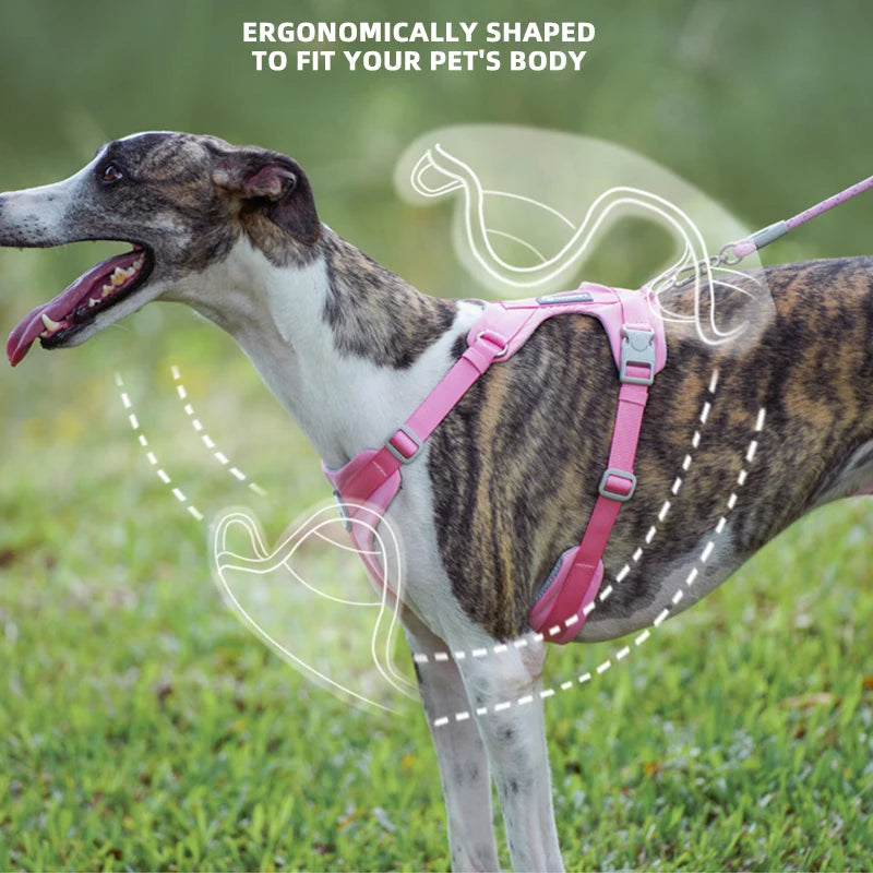 Walking Dog Harnesses Set With Leashes Pet Dog Cat Gifts Vest For Small Medium Large Dogs Rope Set Outdoor Training Pet Supplies