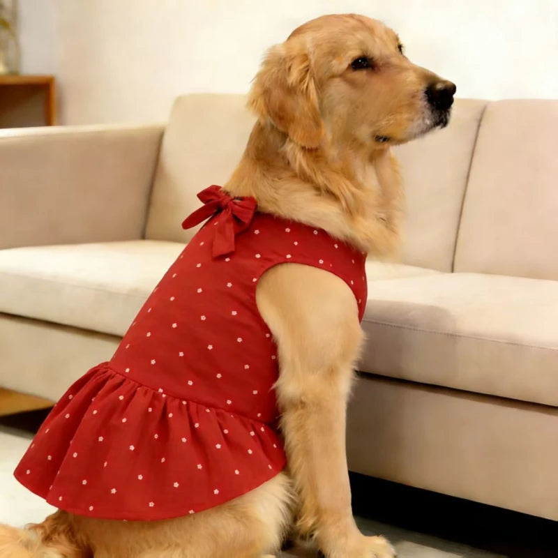 Golden Retriever Clothing Dress Summer Dog Clothes Corgi Border Collie Samoyed Husky Labrador Dobermann Big Large Pet Apparel