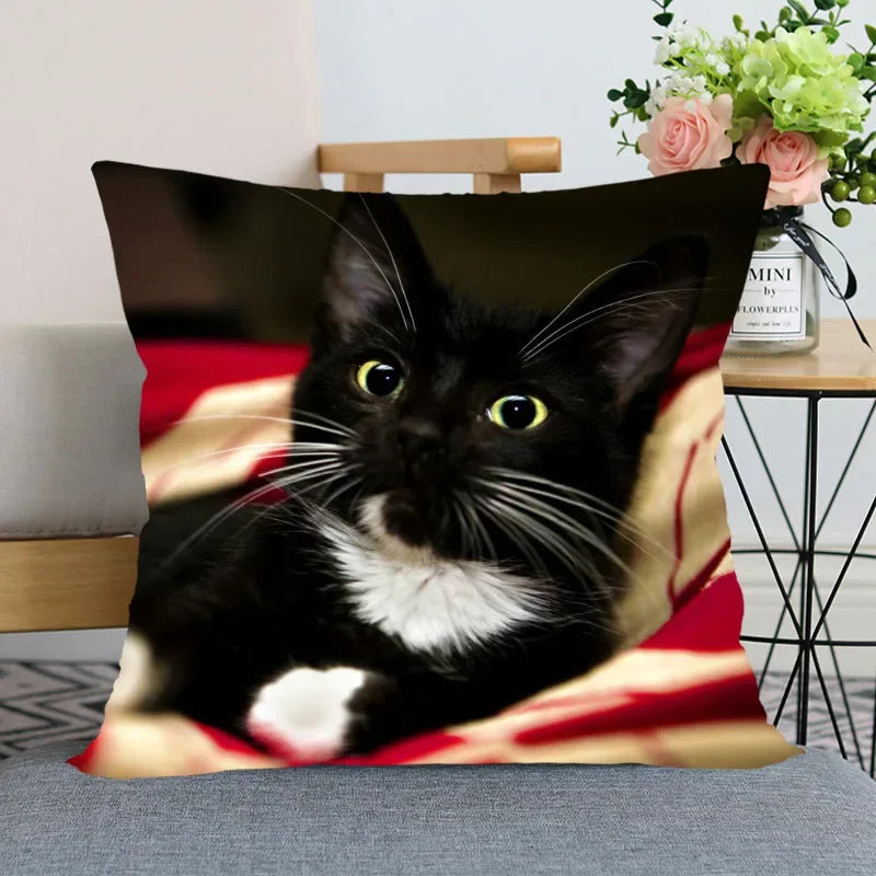 Cute Animal Bed Pillowcase for Car Sofa Home  Pet Cat Printed   Cushion Cover