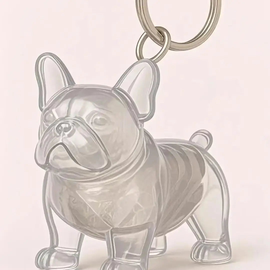 Transparent Pet Hair Storage Memorial Keychains Cat and Dog Hair Organization Capsules Decorative Pendants Cat Accessories