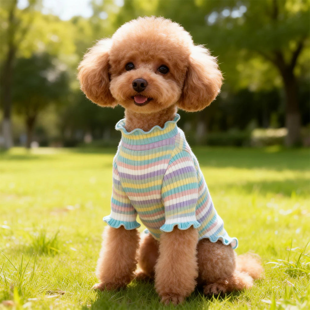 Pet Dog Clothes Puppy Vest T-shirt Shirt Cute Spring Pet Skirt Dress Roupas para cães Bottoming Shirt Dog Costume Puppy Clothes