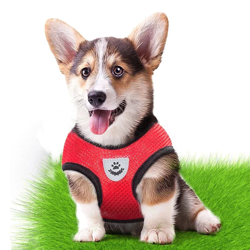 Dogs Puppy Harness Collar Cat Dog Adjustable Vest Walking Lead Leash Soft Breathable Polyester Mesh Harness For Small Medium Pet